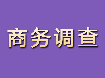 沙县商务调查